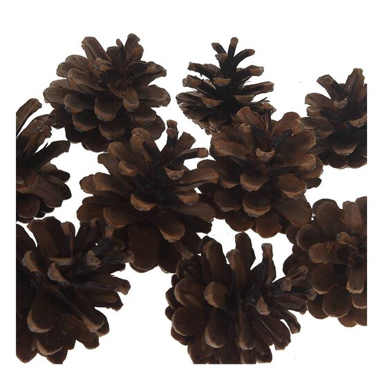 Pine Cones 200 g