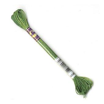 DMC Green Colour Variations Thread 8m (4045)