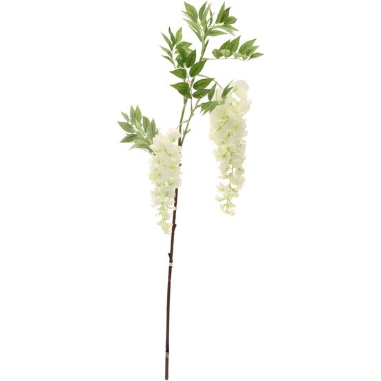 White Two Head Wisteria 90cm image number 1