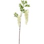 White Two Head Wisteria 90cm image number 1