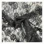 Black Polyester Floral Lace Fabric by the Metre image number 1