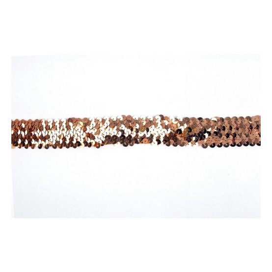 Silver 30mm Sequin Stretch Trim by the Metre image number 1