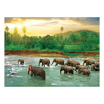 Eurographics Save Our Planet Rainforest Jigsaw Puzzle 1000 Pieces