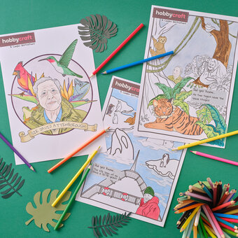 FREE Sir David Attenborough Colouring Downloads