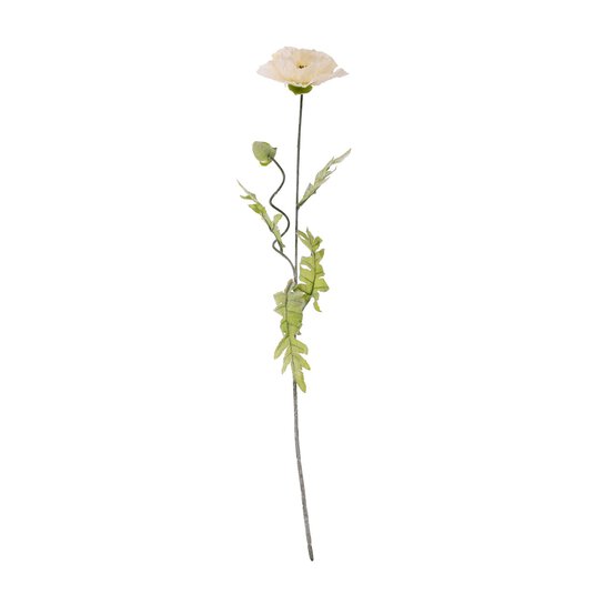 Large Cream Poppy 72cm x 14cm image number 1