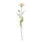 Large Cream Poppy 72cm x 14cm image number 1