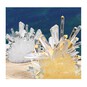 Crystal Growing Experimental Kit image number 4
