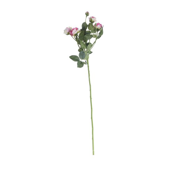 Blush Pink Camelot Garden Rose Spray 72cm x 13cm image number 1