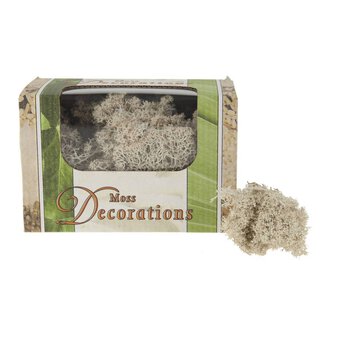 Reindeer Moss 50g