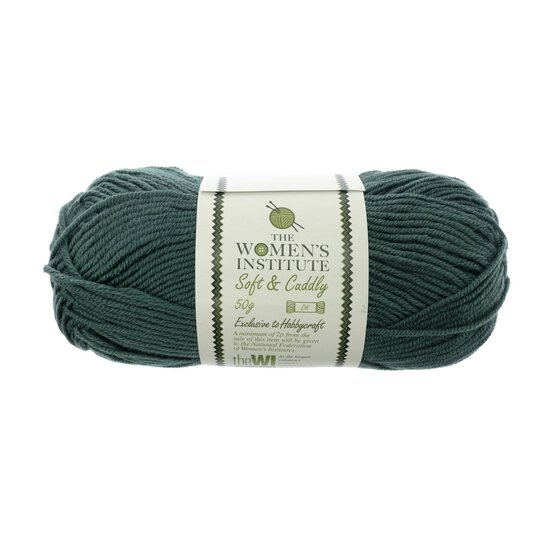 Women's Institute Sea Green Soft and Cuddly DK Yarn 50g image number 1