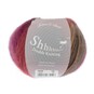 James C Brett Rosehip Shhh DK Yarn 100g image number 1