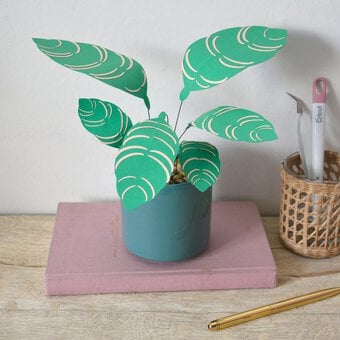 Cricut: How to Make a Paper Calathea Ornata Plant