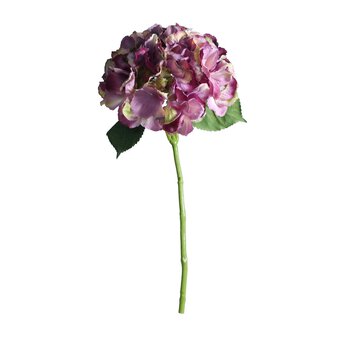 Antique Short Stem Purple Hydrangea 40cm x 17cm