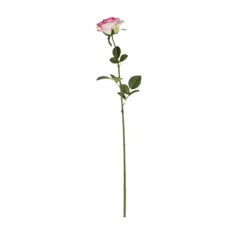 Small Pink Camelot Open Rose 74cm x 10cm