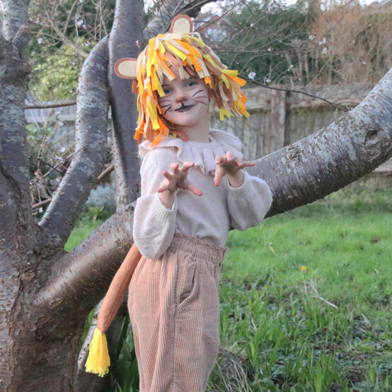 How To Make A Lion Costume image number 1