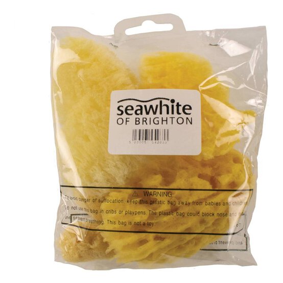 Seawhite Assorted Natural Sponges image number 2