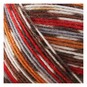 West Yorkshire Spinners Robin Signature 4 Ply Yarn 100g image number 2
