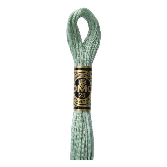 DMC Green Mouline Special 25 Cotton Thread 8m (3817) image number 1