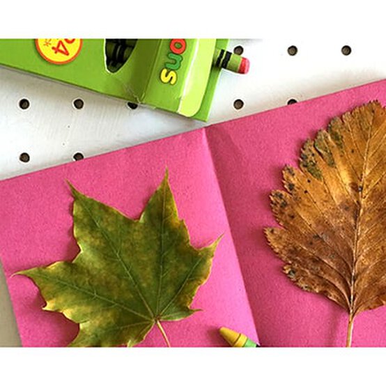 5 Nature Inspired Kids Craft Activities image number 1