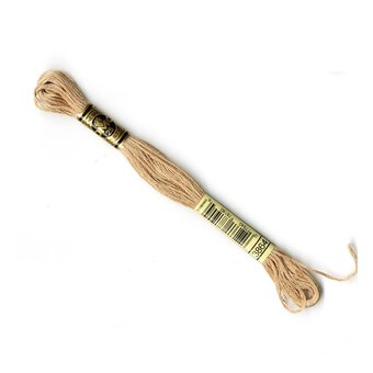 DMC Brown Mouline Special 25 Cotton Thread 8m (3864)