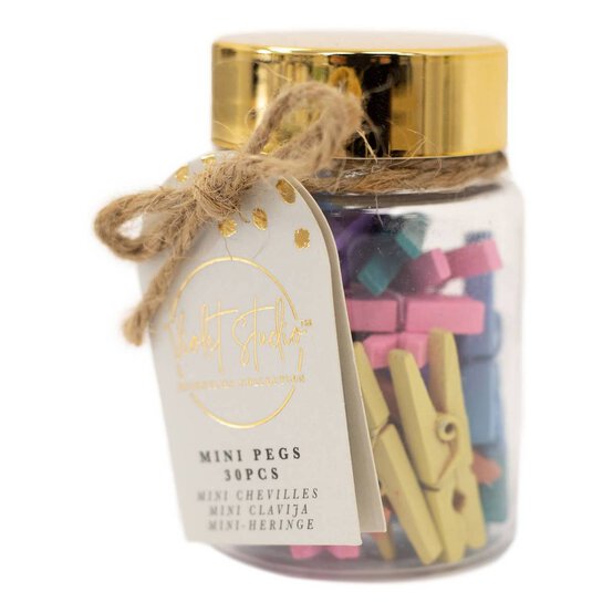 Violet Studio Pastel Mini Pegs Jar 30 Pack image number 1
