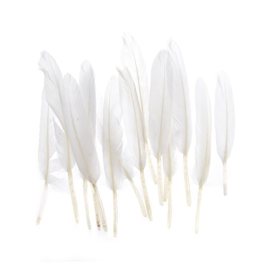 White Quill Feathers 15 Pack image number 1