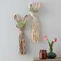 How to Make Macrame Bunny Plant Pods image number 1