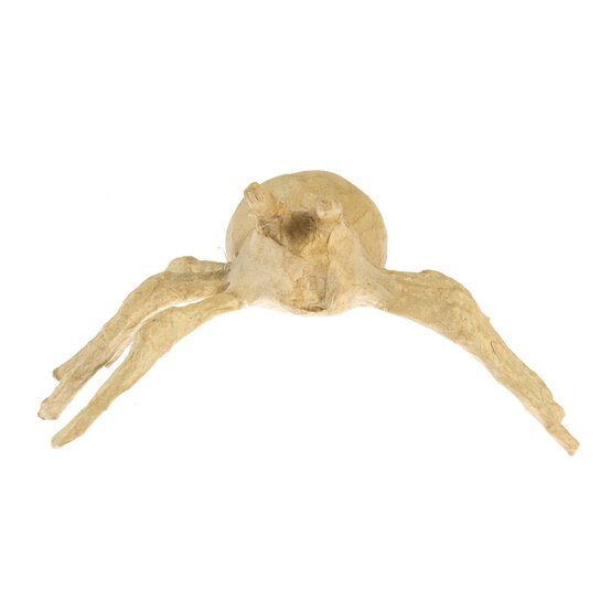Decopatch Mache Spider 19cm image number 4