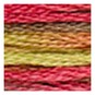 DMC Orange and Yellow Coloris Mouline Cotton Thread 8m (4510) image number 2