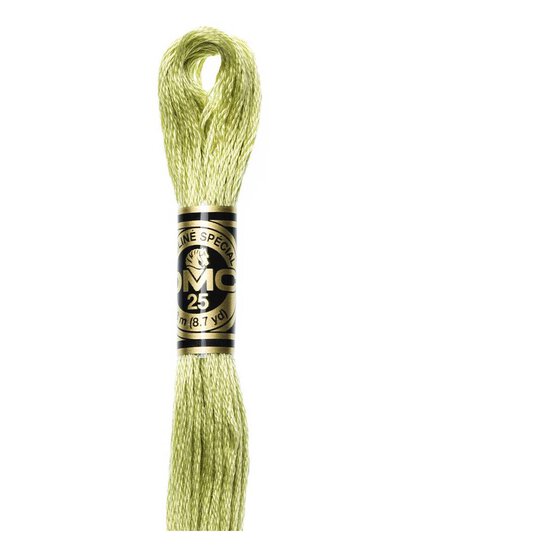 DMC Green Mouline Special 25 Cotton Thread 8m (3348)