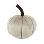 Grey Plush Pumpkin 9cm image number 1