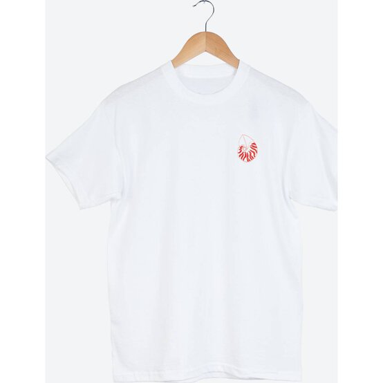 FREE PATTERN DMC The Shells Embroidery 0200 image number 3