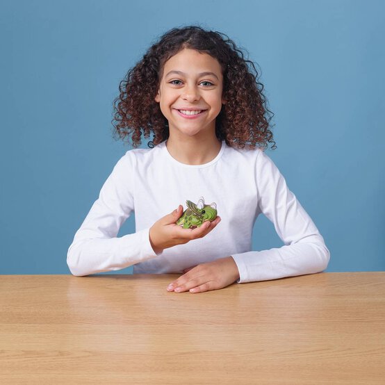 Eugy 3D Triceratops Model image number 5