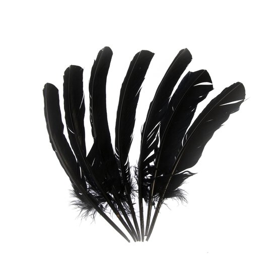Black Feathers 7 Pack image number 1