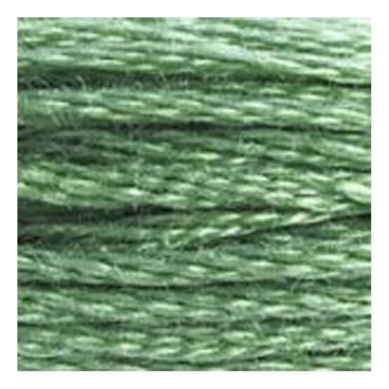 DMC Green Mouline Special 25 Cotton Thread 8m (320) image number 2