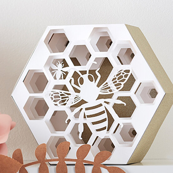 How to Make a Bee Papercut Shadow Box image number 1