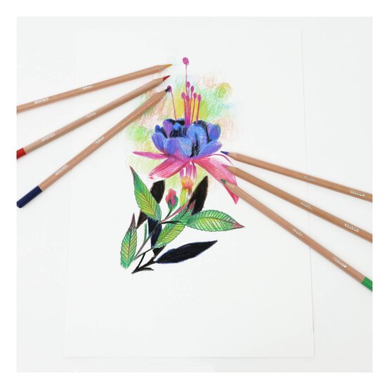 Daler-Rowney Simply Colouring Pencils 12 Pack image number 4