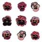 FREE PATTERN DMC Pansy Gang Cross Stitch 0088 image number 1