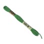 DMC Green Mouline Special 25 Cotton Thread 8m (910) image number 1