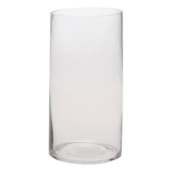 Clear Glass Cylinder Vase 20cm x 10cm image number 1