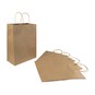 Kraft Gift Bag 33cm x 25cm 5 Pack image number 1