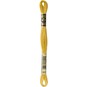 DMC Yellow Mouline Special 25 Cotton Thread 8m (3821) image number 3