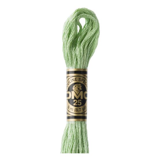 DMC Green Mouline Special 25 Cotton Thread 8m (164) image number 1