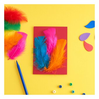 Bright Craft Feathers 5g