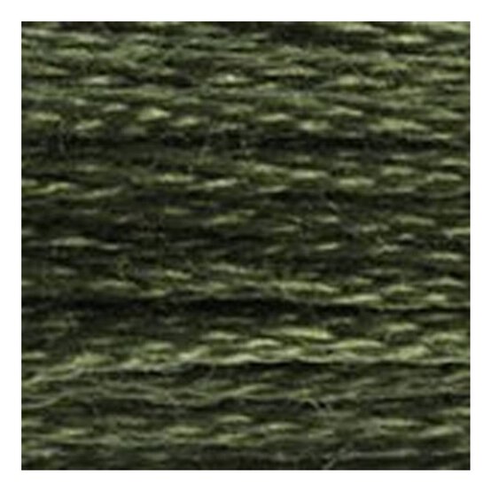 DMC Green Mouline Special 25 Cotton Thread 8m (3051) image number 2