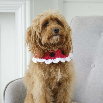 How to Crochet a Christmas Pet Accessory