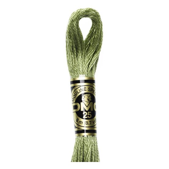 DMC Green Mouline Special 25 Cotton Thread 8m (3364)