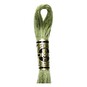 DMC Green Mouline Special 25 Cotton Thread 8m (3364) image number 1