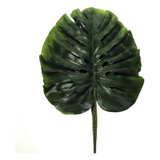 Monstera Pick Bundle 5 Pieces image number 1