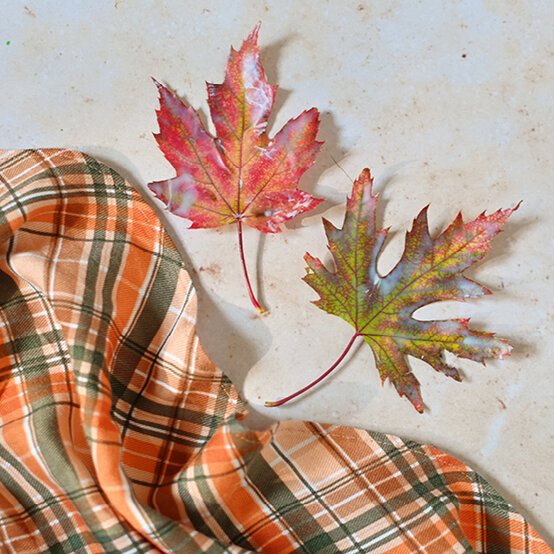 2 Ways to Preserve Autumn Leaves image number 1